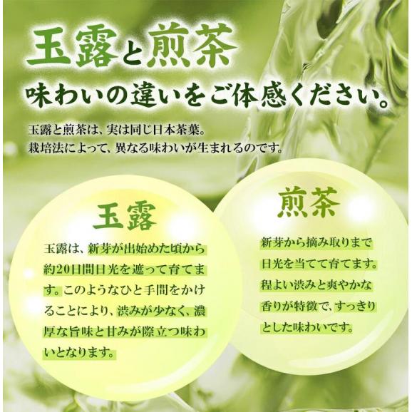 【八女茶 ギフトセット】煎茶 玉露 80g&times;2袋 飲み比べ 送料無料 九州 福岡県 八女 産 煎茶 日本茶 水出し 冷茶 伝統熊本 《1-5営業日以内に発送予定(土日祝除く)》熊本05