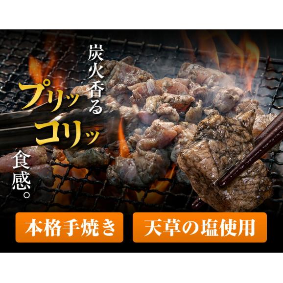 ＼2セット購入でおまけ増量／ 国産鶏の炭火焼き 330g 110g&times;3袋 国産 鶏 鶏肉 おつまみ ごはん 簡単調理 ボイル 冷凍 米 にも合う 《1-5営業日以内に出荷予定(土日祝除く)》熊本04