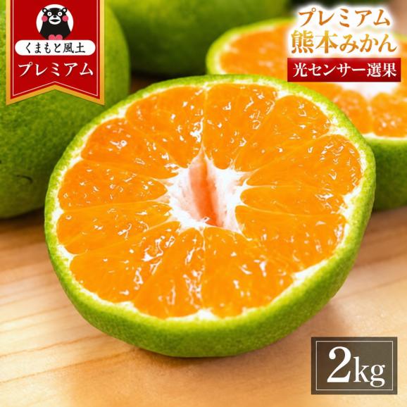 プレミアム 小玉 熊本 みかん 光センサー選果 2kg 2L〜2S サイズ 送料無料 ミカン 大玉 柑橘 おすそ分け ギフト 熊本 熊本 《9月中旬-10月下旬頃出荷(土日祝除く)01