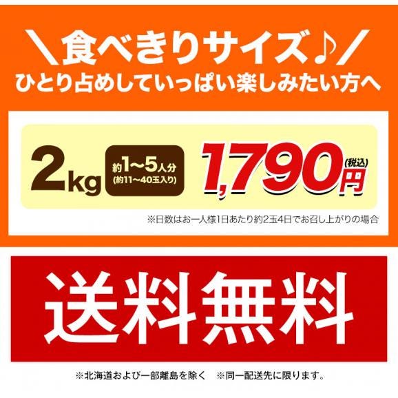 プレミアム 小玉 熊本 みかん 光センサー選果 2kg 2L〜2S サイズ 送料無料 ミカン 大玉 柑橘 おすそ分け ギフト 熊本 熊本 《9月中旬-10月下旬頃出荷(土日祝除く)02