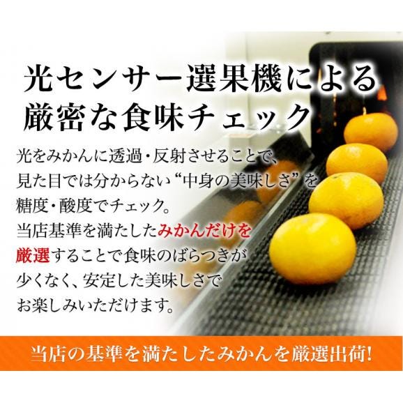 プレミアム 小玉 熊本 みかん 光センサー選果 2kg 2L〜2S サイズ 送料無料 ミカン 大玉 柑橘 おすそ分け ギフト 熊本 熊本 《9月中旬-10月下旬頃出荷(土日祝除く)05
