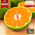 プレミアム 小玉 熊本 みかん 光センサー選果 5kg 2L〜2S サイズ 送料無料 ミカン 大玉 柑橘 おすそ分け ギフト 熊本 《9月中旬-10月下旬頃出荷(土日祝除く)》