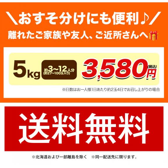 プレミアム 小玉 熊本 みかん 光センサー選果 5kg 2L〜2S サイズ 送料無料 ミカン 大玉 柑橘 おすそ分け ギフト 熊本 《9月中旬-10月下旬頃出荷(土日祝除く)》02