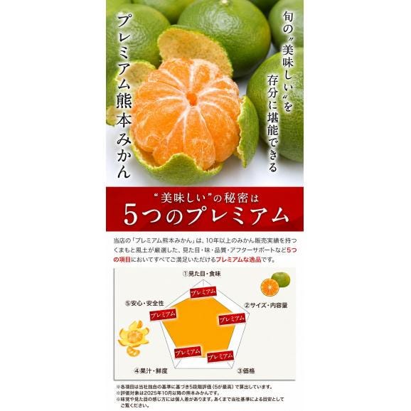 プレミアム 小玉 熊本 みかん 光センサー選果 5kg 2L〜2S サイズ 送料無料 ミカン 大玉 柑橘 おすそ分け ギフト 熊本 《9月中旬-10月下旬頃出荷(土日祝除く)》04