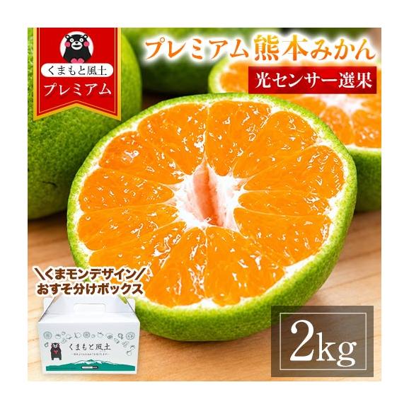 プレミアム 小玉 熊本 みかん 光センサー選果 2kg くまモンBOX対応 2L〜2S サイズ 送料無料 ミカン 柑橘 おすそ分け ギフト 熊本 《9月中旬-10月下旬頃出荷(土日祝除く)》01