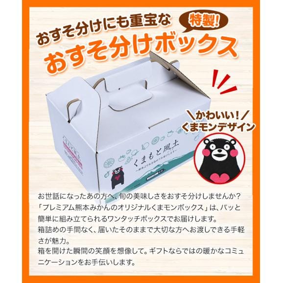 プレミアム 小玉 熊本 みかん 光センサー選果 2kg くまモンBOX対応 2L〜2S サイズ 送料無料 ミカン 柑橘 おすそ分け ギフト 熊本 《9月中旬-10月下旬頃出荷(土日祝除く)》05