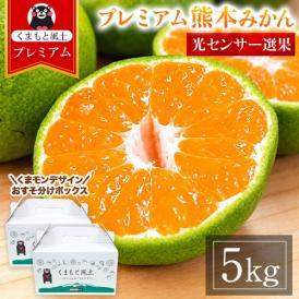 プレミアム 小玉 熊本 みかん 光センサー選果 5kg くまモンBOX対応 2L〜2S サイズ 送料無料 ミカン 大玉 柑橘 おすそ分け ギフト 熊本 《9月中旬-10月下旬頃出荷(土日祝除く)》