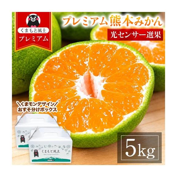 プレミアム 小玉 熊本 みかん 光センサー選果 5kg くまモンBOX対応 2L〜2S サイズ 送料無料 ミカン 大玉 柑橘 おすそ分け ギフト 熊本 《9月中旬-10月下旬頃出荷(土日祝除く)》01