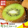 【★最大1,000円OFFクーポン配布中!】 国産 キウイ 1kg キウイフルーツ 徳島県産 ご家庭用 訳あり 果物 スムージー ジャム デザート キウイ 徳島県 1月上旬から1月末頃に発送予定》