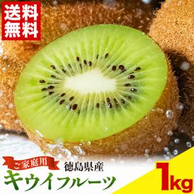 【★最大1,000円OFFクーポン配布中！】 国産 キウイ 1kg キウイフルーツ 徳島県産 ご家庭用 訳あり 果物 スムージー ジャム デザート キウイ 徳島県 1月上旬から1月末頃に発送予定》