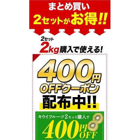 【★最大1,000円OFFクーポン配布中!】 国産 キウイ 1kg キウイフルーツ 徳島県産 ご家庭用 訳あり 果物 スムージー ジャム デザート キウイ 徳島県 1月上旬から1月末頃に発送予定》02
