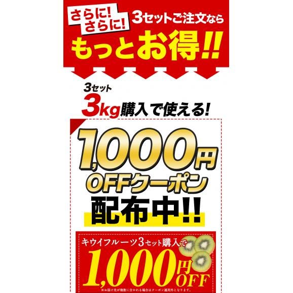 【★最大1,000円OFFクーポン配布中!】 国産 キウイ 1kg キウイフルーツ 徳島県産 ご家庭用 訳あり 果物 スムージー ジャム デザート キウイ 徳島県 1月上旬から1月末頃に発送予定》03