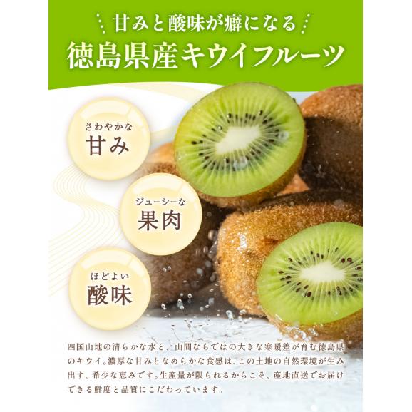 【★最大1,000円OFFクーポン配布中!】 国産 キウイ 1kg キウイフルーツ 徳島県産 ご家庭用 訳あり 果物 スムージー ジャム デザート キウイ 徳島県 1月上旬から1月末頃に発送予定》05