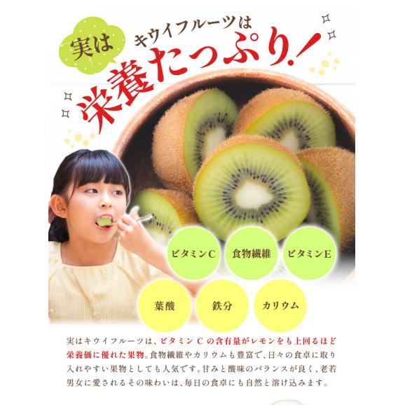 【★最大1,000円OFFクーポン配布中!】 国産 キウイ 1kg キウイフルーツ 徳島県産 ご家庭用 訳あり 果物 スムージー ジャム デザート キウイ 徳島県 1月上旬から1月末頃に発送予定》06