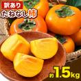 【訳あり】柿 種無し 1.5kg 和歌山県 刀根早生柿 平核無柿 種なし カキ かき ジューシー フルーツ たねなし 果物 フルーツ 規格外 傷 《9月下旬-10月上旬に発送予定》