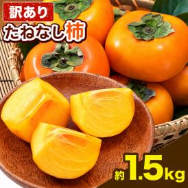 【訳あり】柿 種無し 1.5kg 和歌山県 刀根早生柿 平核無柿 種なし カキ かき ジューシー フルーツ たねなし 果物 フルーツ 規格外 傷 《9月下旬-10月上旬に発送予定》
