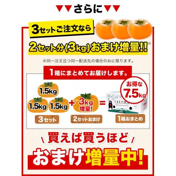 【訳あり】柿 種無し 1.5kg 和歌山県 刀根早生柿 平核無柿 種なし カキ かき ジューシー フルーツ たねなし 果物 フルーツ 規格外 傷 《9月下旬-10月上旬に発送予定》02