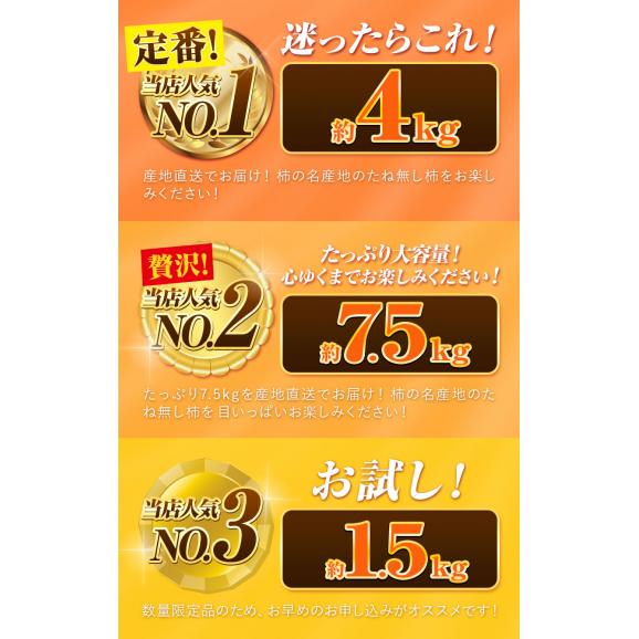【訳あり】柿 種無し 1.5kg 和歌山県 刀根早生柿 平核無柿 種なし カキ かき ジューシー フルーツ たねなし 果物 フルーツ 規格外 傷 《9月下旬-10月上旬に発送予定》03