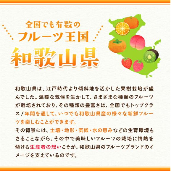 【訳あり】柿 種無し 1.5kg 和歌山県 刀根早生柿 平核無柿 種なし カキ かき ジューシー フルーツ たねなし 果物 フルーツ 規格外 傷 《9月下旬-10月上旬に発送予定》04