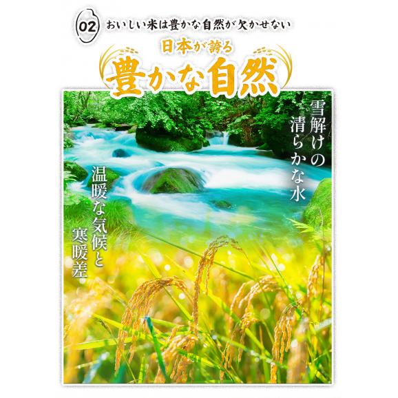 国産 ふるさと米 白米 20kg（5kg&times;4）おまけ 雑穀 450g【送料無料】 米 白米 精米済み 非常食 保存食 お徳用 コメ お米 《14営業日以内に発送予定》04