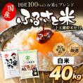国産 ふるさと米 白米 40kg(5kg×8)おまけ 雑穀 450g【送料無料】 米 白米 精米済み 非常食 保存食 お徳用 コメ お米 《14営業日以内に発送予定》