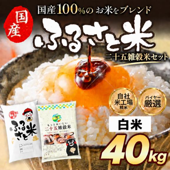 国産 ふるさと米 白米 40kg(5kg×8)おまけ 雑穀 450g【送料無料】 米 白米 精米済み 非常食 保存食 お徳用 コメ お米 《14営業日以内に発送予定》01