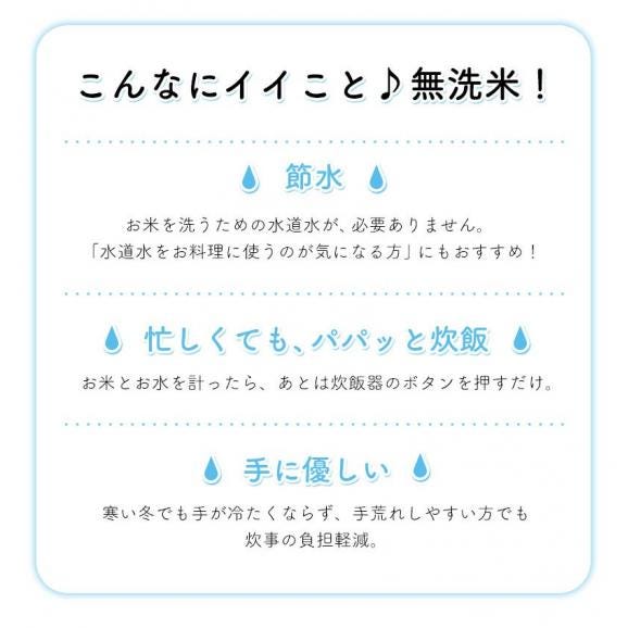 ふるさと無洗米 40kg (5㎏&times;8袋) 二十五雑穀米450g（450g&times;1袋） 国内産 ブレンド 無洗米 安心 保存食  精米済み お米 米 雑穀セット ≪1-3営業日以内に発送≫03