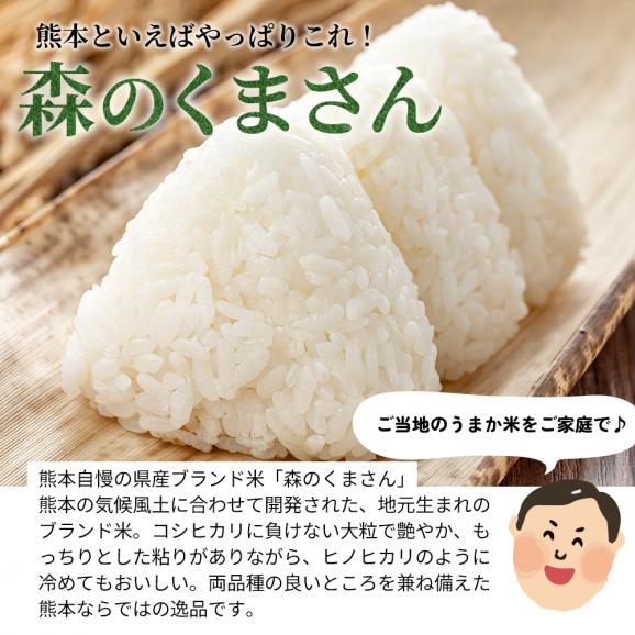 令和8年産  銘柄 白米 20kg 熊本県産 森のくまさん 国産 米 白米 5kg&times;4 家庭用米 こめ コメ 《10月下旬～11月上旬に出荷予定》02
