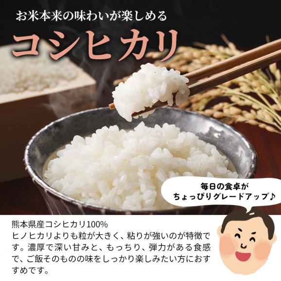 【令和8年産】 コシヒカリ 40kg  ＋雑穀米 500g付 熊本県産 銘柄 米 お米 コメ 新米 こしひかり 雑穀米 雑穀 国産 熊本 白米 《10月下旬～11月上旬に出荷予定》03