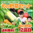 たっぷり12品【送料無料】自家用野菜セット 九州の安心安全★旬の野菜をお届け！《7-14営業日以内に順次出荷(土日祝日除く)》