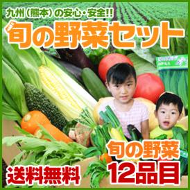 たっぷり12品でこの価格！お得な 野菜の詰め合わせ！ 熊本県でしか手に入らない希少野菜が届くかも！