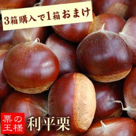 秀品 利平栗 約1.8kg 幻の高級和栗 生栗  栗  3セット購入で1セット分おまけ 熊本県産 【9月下旬～10月上旬頃より順次出荷予定】