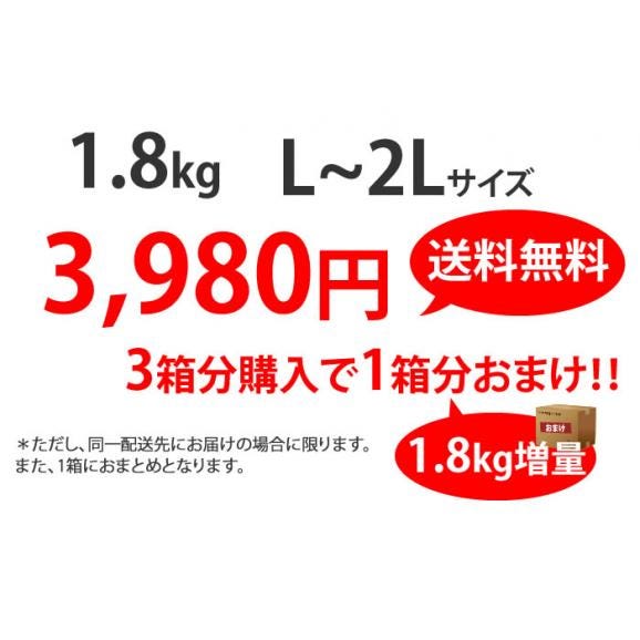 栗 利平栗 送料無料 幻の高級和栗  生栗 秀品 約1.8kg 熊本県産 3箱購入で1箱おまけ くり クリ04