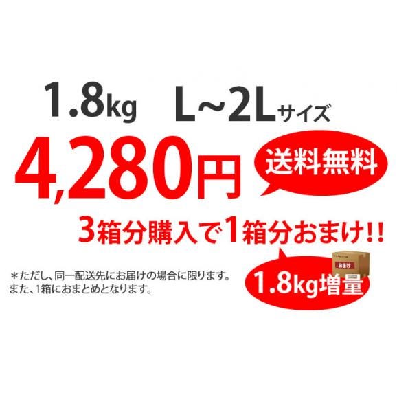 秀品 利平栗 約1.8kg 幻の高級和栗 生栗  栗  3セット購入で1セット分おまけ 熊本県産 【9月下旬～10月上旬頃より順次出荷予定】04
