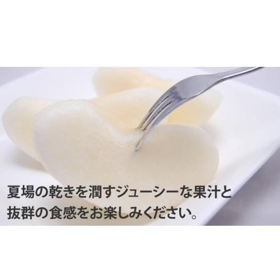 梨 秋月 あきづき 送料無料 熊本県産 朝もぎ樹上完熟梨 秀品3kg 別途追加送料東北200円 北海道400円 沖縄離島1000円 【9月下旬ごろより順次出荷開始予定】04