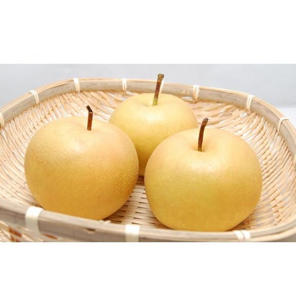 梨 秋月 あきづき 送料無料 熊本県産 朝もぎ樹上完熟梨 秀品3kg 別途追加送料東北200円 北海道400円 沖縄離島1000円 【9月下旬ごろより順次出荷開始予定】05