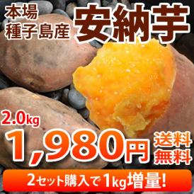 安納芋 送料無料 種子島産 生芋  2箱購入で1kg増量  まるでスイーツ さつまいも 別途東北200円 北海道400円 沖縄離島1000円