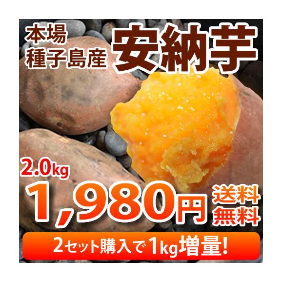 安納芋 送料無料 種子島産 生芋 2箱購入で1kg増量 まるでスイーツ