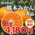 絶品の温州みかん 熊本県(河内・三角)産 秀品8kg【送料無料！2箱購入でおまけ付き！】