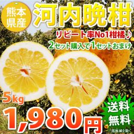 和製グレープフルーツ 訳あり河内晩柑 5kg 熊本県産 送料無料 2箱購入でおまけ増量【東北200円、北海道400円、沖縄・離島1000円の追加送料】