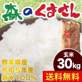 《令和5年産 新米》 熊本県産 森のくまさん 玄米30kg【送料無料】