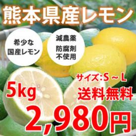 希少な国産レモン！ 熊本県三角産レモン 5kg