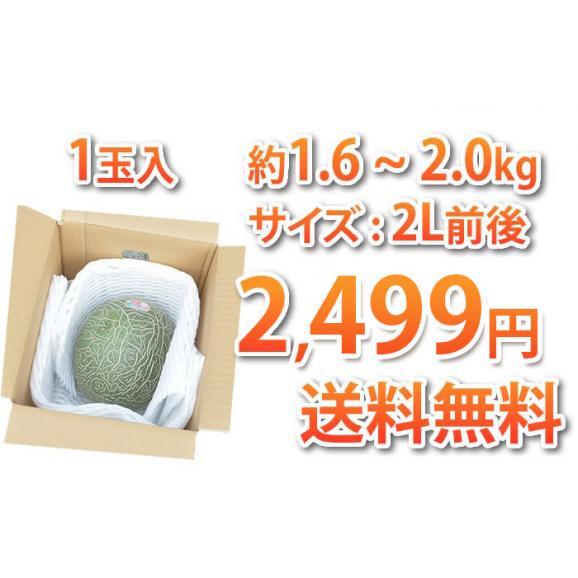 メロン 送料無料 肥後グリーン 熊本県産ブランド 優品 自宅用 1玉 約1.6~2kg 東北200円、北海道400円、沖縄・離島1000円の追加送料03