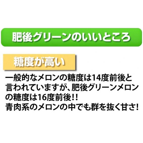 メロン 送料無料 肥後グリーン 熊本県産ブランド 優品 自宅用 1玉 約1.6~2kg 東北200円、北海道400円、沖縄・離島1000円の追加送料04