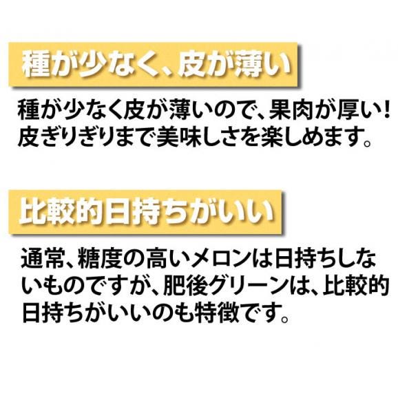 メロン 送料無料 肥後グリーン 熊本県産ブランド 優品 自宅用 1玉 約1.6~2kg 東北200円、北海道400円、沖縄・離島1000円の追加送料06