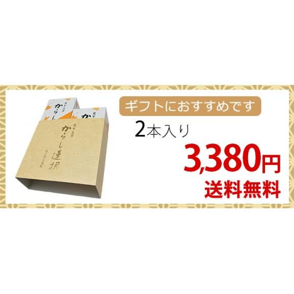※代引き不可※ 熊本名物 からし蓮根 2本入り【ギフト用にも】02