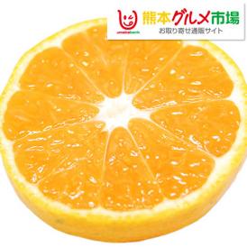 みかん 送料無料 訳あり 1.5kg 熊本県産 蜜柑 ミカン 柑橘 フルーツ 2セット購入で1セット 3セット購入で3セットおまけ 【1月上旬ごろより順次出荷開始】