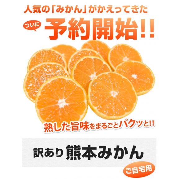 みかん 送料無料 訳あり 1.5kg 熊本県産 蜜柑 ミカン 柑橘 フルーツ 2セット購入で1セット 3セット購入で3セットおまけ 【1月上旬ごろより順次出荷開始】02