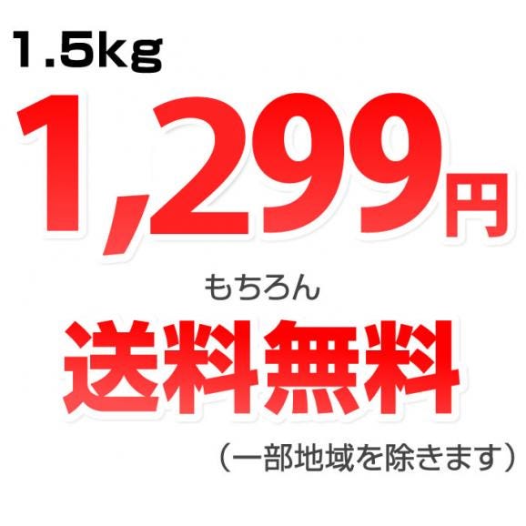 みかん 送料無料 訳あり 1.5kg 熊本県産 蜜柑 ミカン 柑橘 フルーツ 2セット購入で1セット 3セット購入で3セットおまけ 【1月上旬ごろより順次出荷開始】03