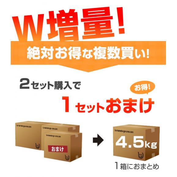 みかん 送料無料 訳あり 1.5kg 熊本県産 蜜柑 ミカン 柑橘 フルーツ 2セット購入で1セット 3セット購入で3セットおまけ 【1月上旬ごろより順次出荷開始】04